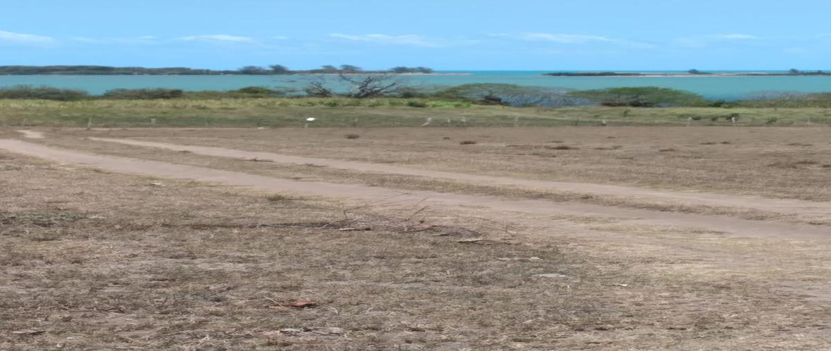 Foto de terreno habitacional en venta en  , tampico alto centro, tampico alto, veracruz de ignacio de la llave, 30034185 No. 04