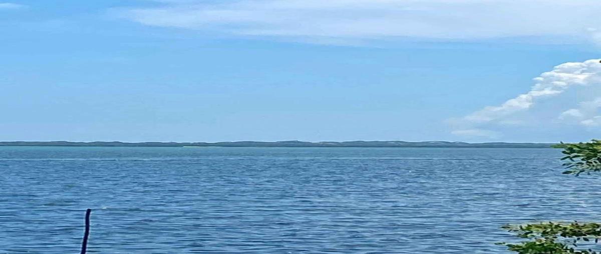 Foto de terreno habitacional en venta en  , tampico alto centro, tampico alto, veracruz de ignacio de la llave, 30034185 No. 05