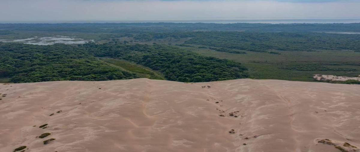 Foto de terreno habitacional en venta en  , tampico alto centro, tampico alto, veracruz de ignacio de la llave, 30115992 No. 03