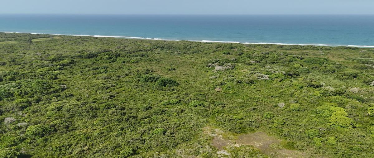 Foto de terreno habitacional en venta en  , tampico alto centro, tampico alto, veracruz de ignacio de la llave, 30278666 No. 03