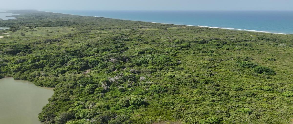 Foto de terreno habitacional en venta en  , tampico alto centro, tampico alto, veracruz de ignacio de la llave, 30278666 No. 04