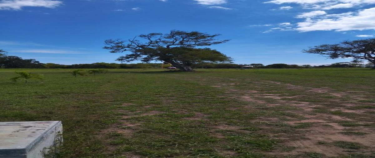 Foto de terreno habitacional en venta en  , tampico alto centro, tampico alto, veracruz de ignacio de la llave, 30316711 No. 03