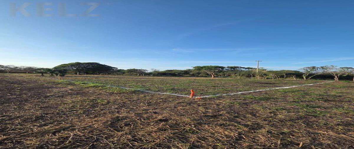 Foto de terreno habitacional en venta en  , tampico alto centro, tampico alto, veracruz de ignacio de la llave, 0 No. 03