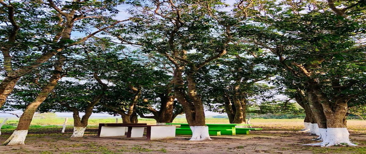 Foto de terreno habitacional en venta en  , tampico alto centro, tampico alto, veracruz de ignacio de la llave, 0 No. 04