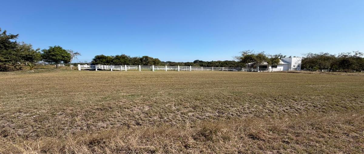 Foto de terreno habitacional en venta en  , tampico alto centro, tampico alto, veracruz de ignacio de la llave, 0 No. 05