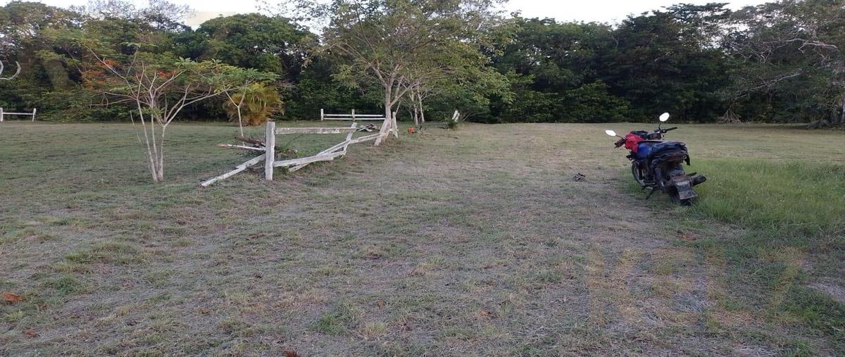 Foto de terreno habitacional en venta en  , tampico alto centro, tampico alto, veracruz de ignacio de la llave, 30979354 No. 05