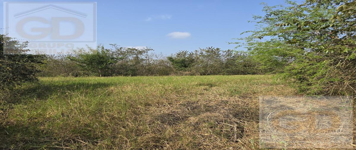 Foto de terreno habitacional en venta en  , tampico alto centro, tampico alto, veracruz de ignacio de la llave, 0 No. 03