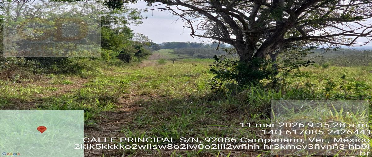 Foto de terreno habitacional en venta en  , tampico alto centro, tampico alto, veracruz de ignacio de la llave, 0 No. 04