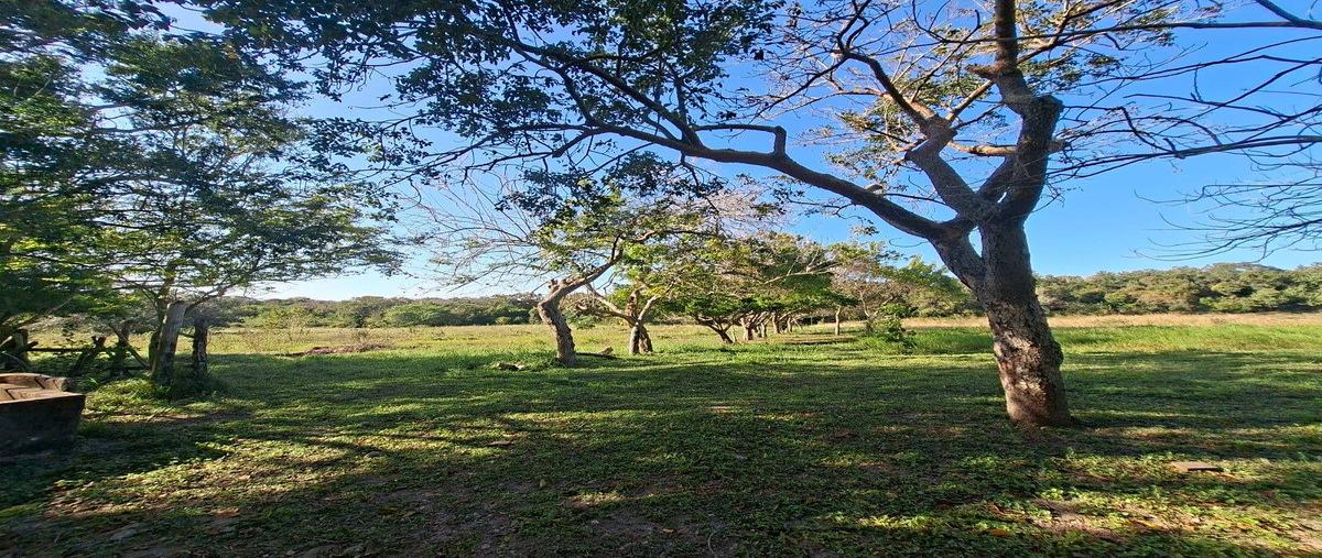 Foto de terreno habitacional en venta en  , tampico alto centro, tampico alto, veracruz de ignacio de la llave, 0 No. 03
