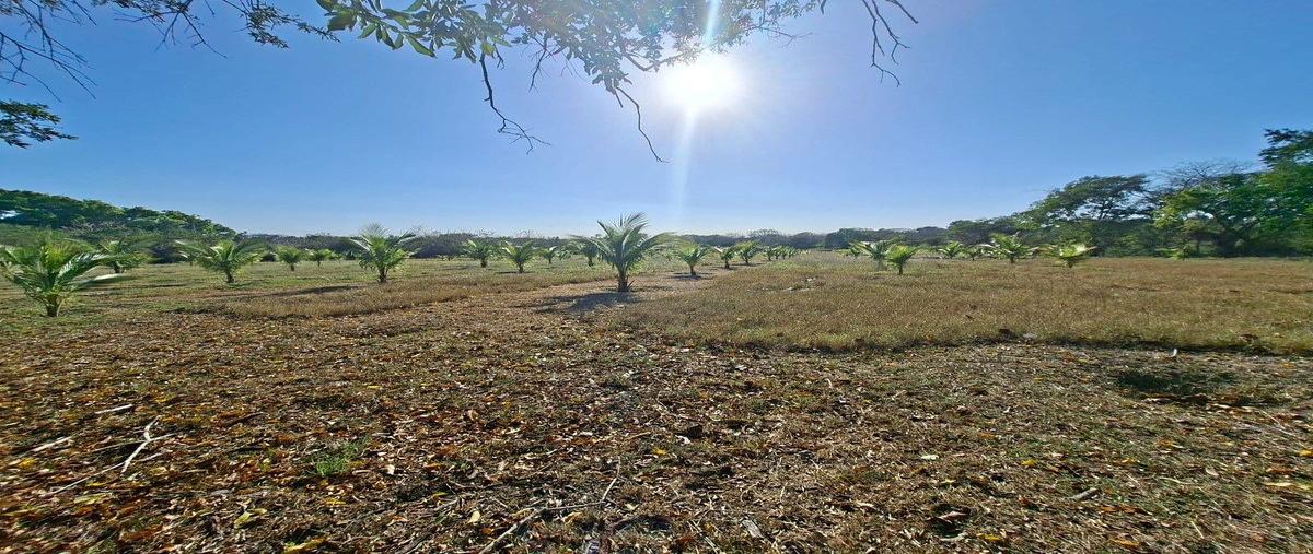 Foto de terreno habitacional en venta en  , tampico alto centro, tampico alto, veracruz de ignacio de la llave, 0 No. 04