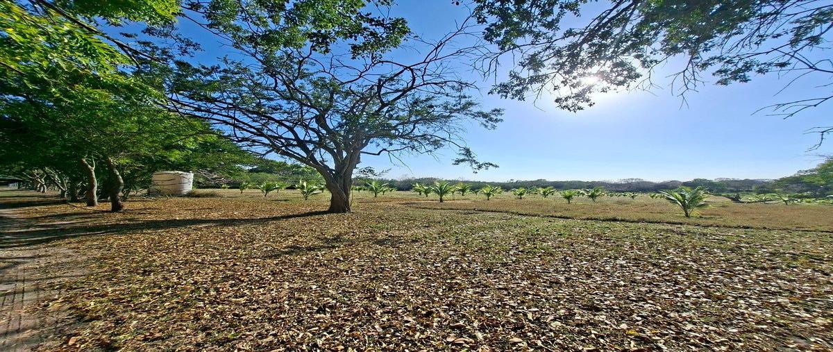 Foto de terreno habitacional en venta en  , tampico alto centro, tampico alto, veracruz de ignacio de la llave, 0 No. 05