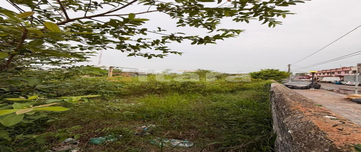 Foto de terreno habitacional en venta en  , tampico centro, tampico, tamaulipas, 31471177 No. 05