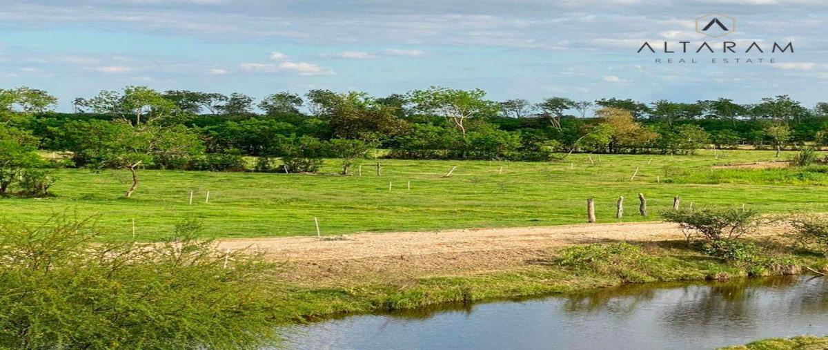 Foto de terreno habitacional en venta en  , tampico, ciudad valles, san luis potosí, 0 No. 03