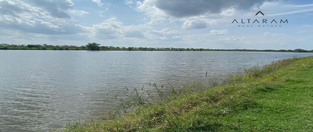 Foto de terreno habitacional en venta en  , tampico, ciudad valles, san luis potosí, 0 No. 04