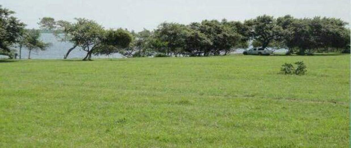 Foto de terreno comercial en venta en  , tampico, tampico, tamaulipas, 11790410 No. 01