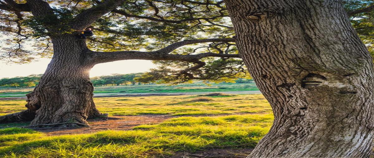 Foto de terreno habitacional en , tanama, tecate, baja california, 0 foto 02 Foto de terreno habitacional en venta en , tanama, tecate, baja california, 0 No. 02