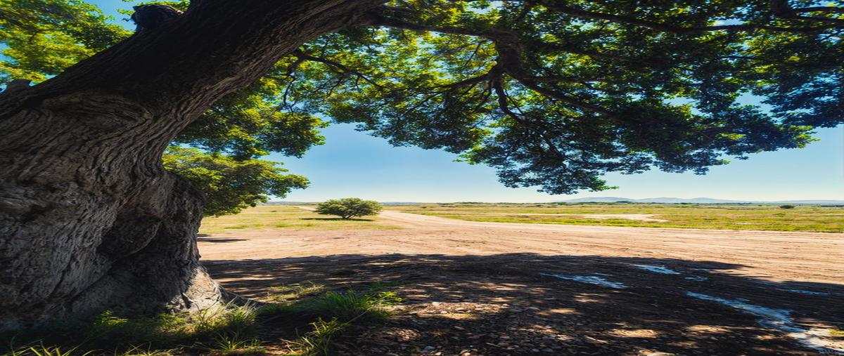 Foto de terreno habitacional en , tanama, tecate, baja california, 0 foto 03 Foto de terreno habitacional en venta en , tanama, tecate, baja california, 0 No. 03
