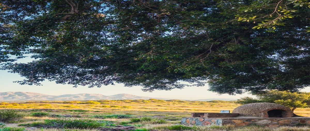 Foto de terreno habitacional en , tanama, tecate, baja california, 0 foto 05 Foto de terreno habitacional en venta en , tanama, tecate, baja california, 0 No. 05