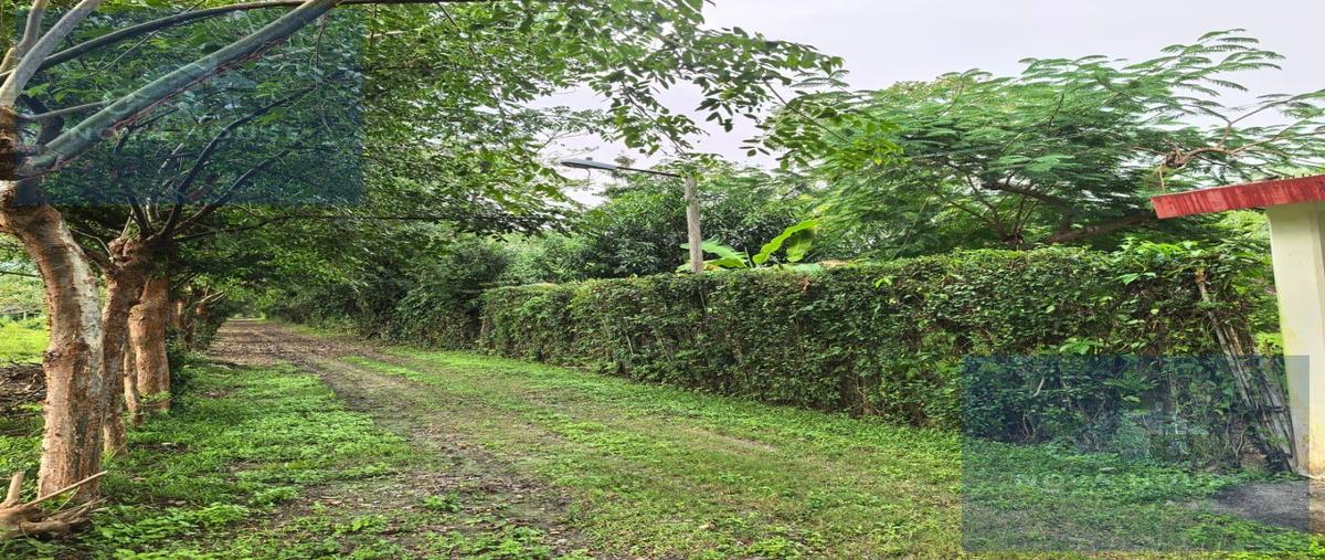 Foto de casa en venta en  , tancoco, tancoco, veracruz de ignacio de la llave, 0 No. 03
