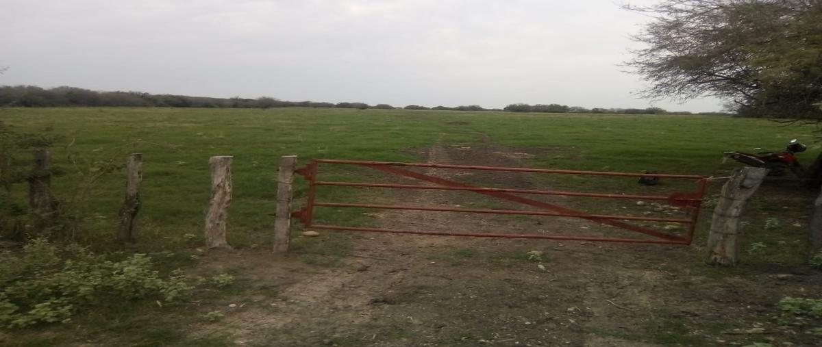Foto de terreno comercial en venta en tancojol , tancojol, san vicente tancuayalab, san luis potosí, 11947817 No. 03