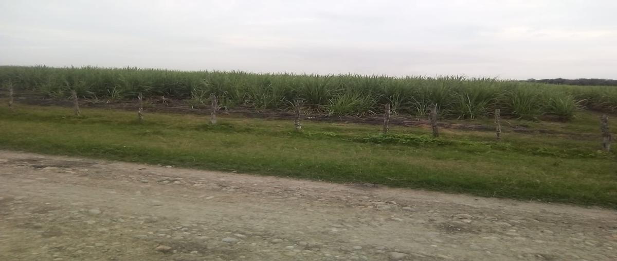 Foto de terreno comercial en venta en tancojol , tancojol, san vicente tancuayalab, san luis potosí, 11947817 No. 04