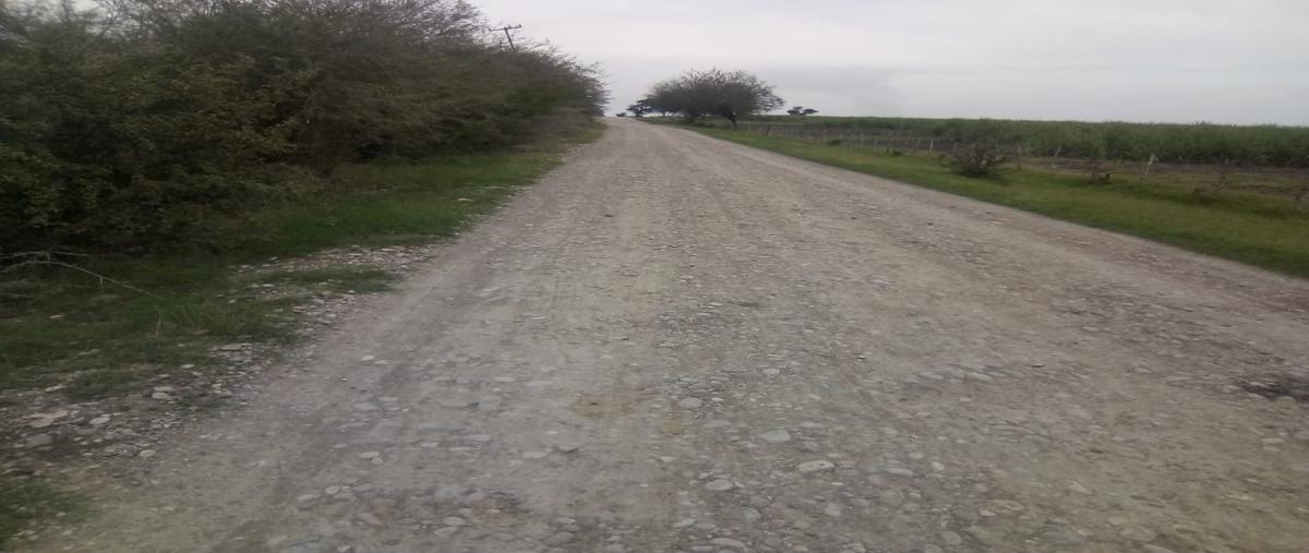 Foto de terreno comercial en venta en tancojol , tancojol, san vicente tancuayalab, san luis potosí, 11947817 No. 05