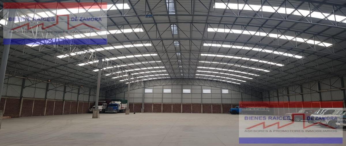 Foto de bodega en venta en  , tangancicuaro de arista centro, tangancícuaro, michoacán de ocampo, 0 No. 03