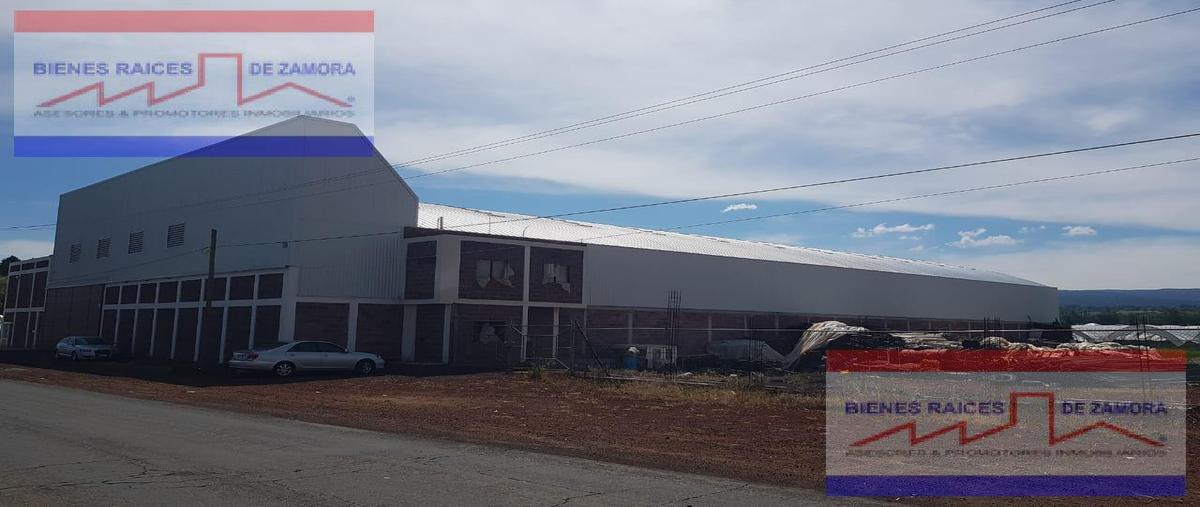 Foto de bodega en renta en  , tangancicuaro de arista centro, tangancícuaro, michoacán de ocampo, 0 No. 04