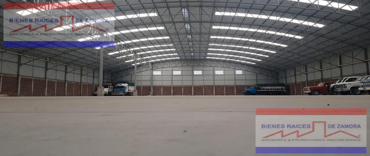 Foto de bodega en renta en  , tangancicuaro de arista centro, tangancícuaro, michoacán de ocampo, 0 No. 05