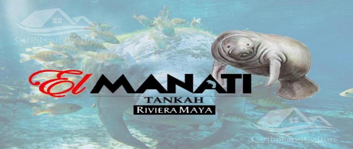 Foto de terreno habitacional en venta en  , tankah cuatro, tulum, quintana roo, 0 No. 05