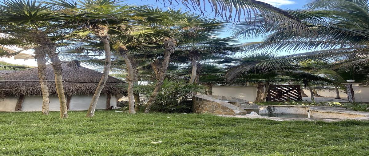 Foto de terreno habitacional en venta en  , tankah cuatro, tulum, quintana roo, 0 No. 04