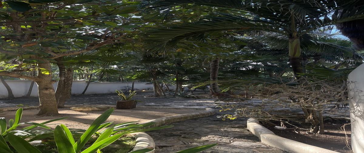 Foto de terreno habitacional en venta en  , tankah cuatro, tulum, quintana roo, 0 No. 05