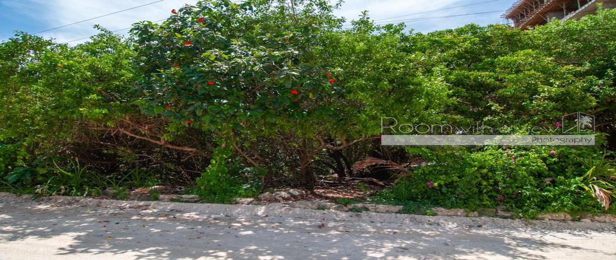 Foto de terreno habitacional en venta en  , tankah cuatro, tulum, quintana roo, 30157222 No. 03