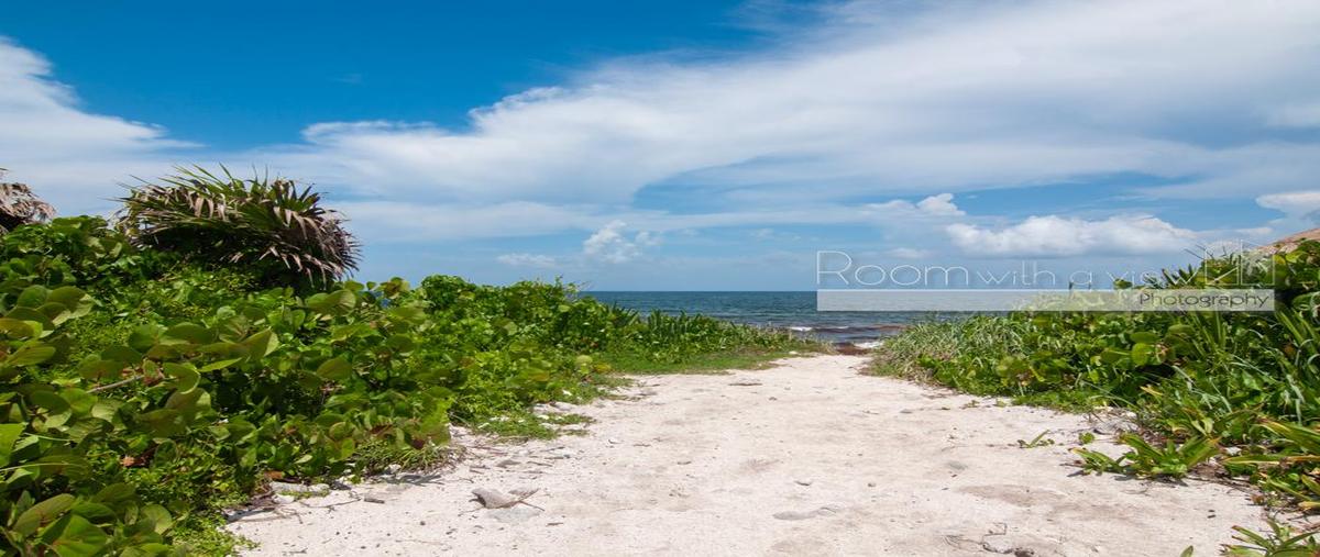 Foto de terreno habitacional en venta en  , tankah cuatro, tulum, quintana roo, 30157222 No. 05