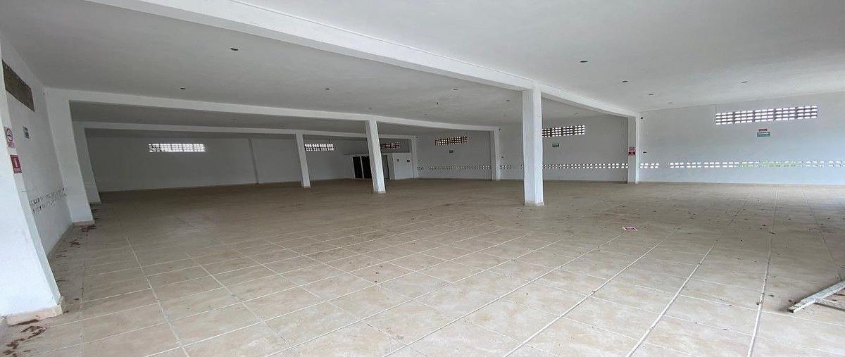 Foto de local en renta en  , tanlum, mérida, yucatán, 30787044 No. 03