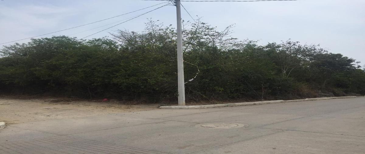 Foto de terreno habitacional en tantiquival , unión popular, pueblo viejo, veracruz de ignacio de la llave, 0 foto 05 Foto de terreno habitacional en venta en tantiquival , unión popular, pueblo viejo, veracruz de ignacio de la llave, 0 No. 05