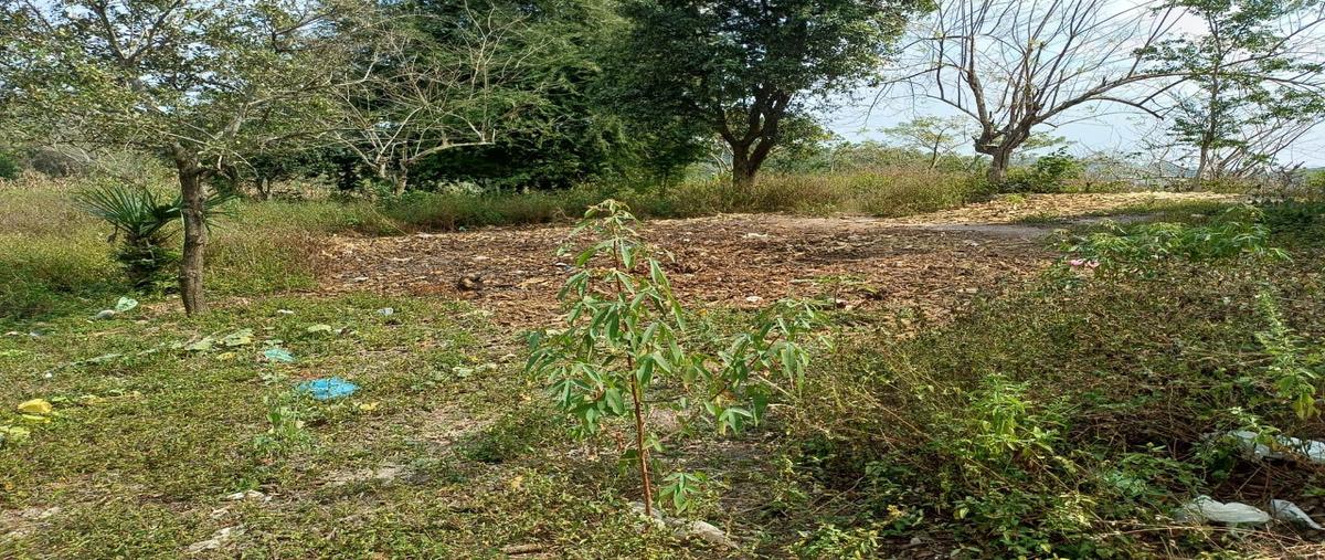 Foto de terreno habitacional en venta en  , tantoyuca, tantoyuca, veracruz de ignacio de la llave, 0 No. 03
