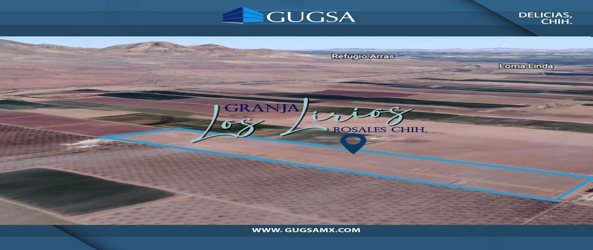 Foto de terreno habitacional en , tapacolmes, rosales, chihuahua, 0 foto 01 Foto de terreno habitacional en venta en , tapacolmes, rosales, chihuahua, 0 No. 01