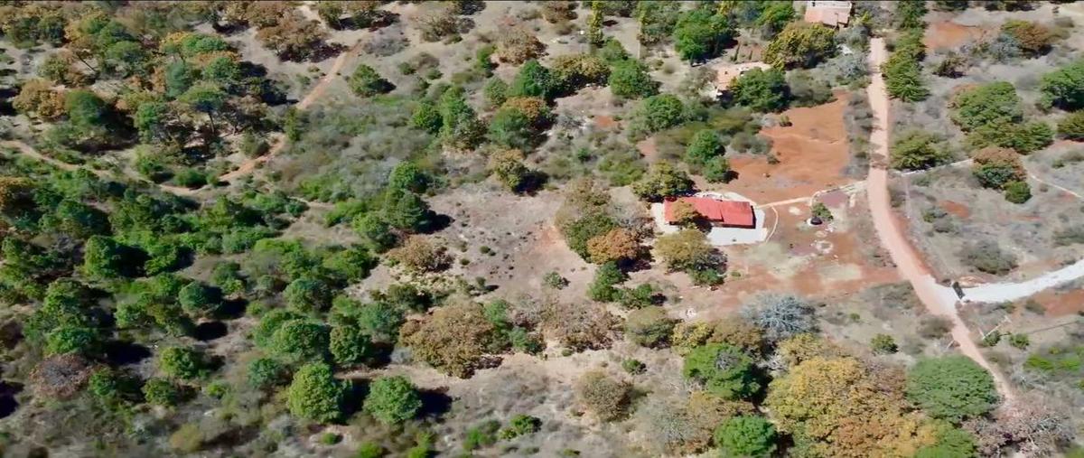 Foto de terreno comercial en tapalpa , los espinos, tapalpa, jalisco, 0 foto 01 Foto de terreno comercial en venta en tapalpa , los espinos, tapalpa, jalisco, 0 No. 01