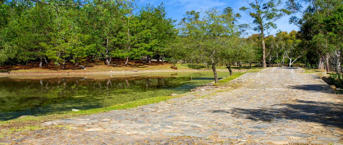 Foto de terreno habitacional en venta en  , tapalpa, tapalpa, jalisco, 17786148 No. 04