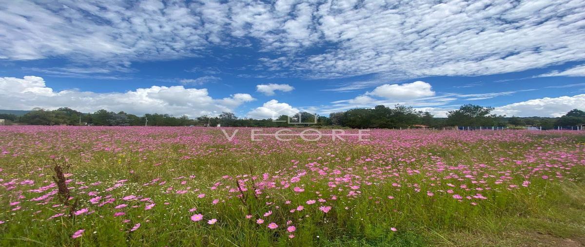 Foto de terreno habitacional en venta en  , tapalpa, tapalpa, jalisco, 22654556 No. 05