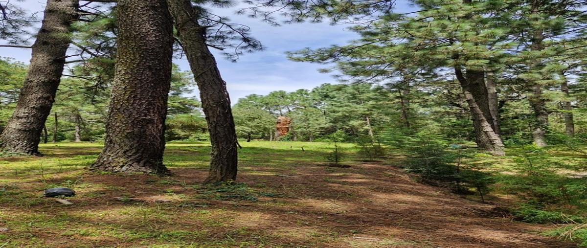 Foto de terreno habitacional en venta en  , tapalpa, tapalpa, jalisco, 0 No. 04