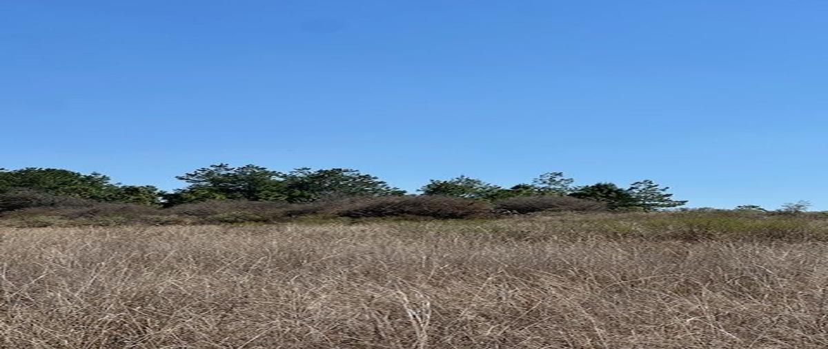 Foto de terreno habitacional en venta en  , tapalpa, tapalpa, jalisco, 0 No. 03