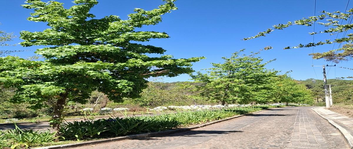 Foto de terreno habitacional en venta en  , tapalpa, tapalpa, jalisco, 29691177 No. 03