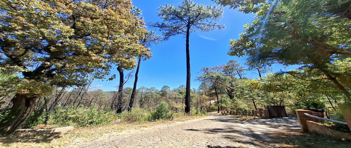 Foto de terreno habitacional en venta en  , tapalpa, tapalpa, jalisco, 29691177 No. 05