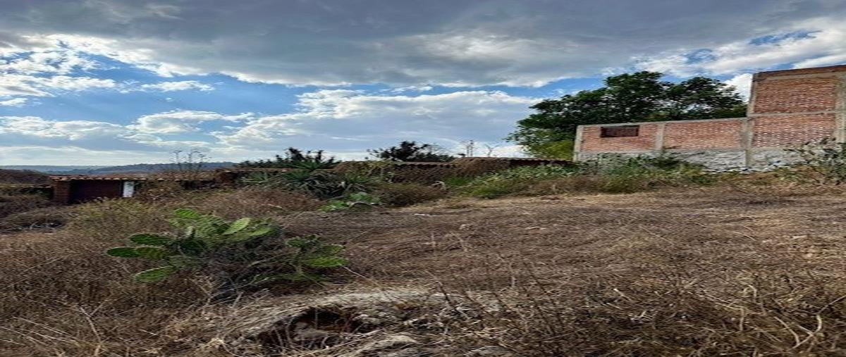 Foto de terreno habitacional en venta en  , tapalpa, tapalpa, jalisco, 0 No. 04