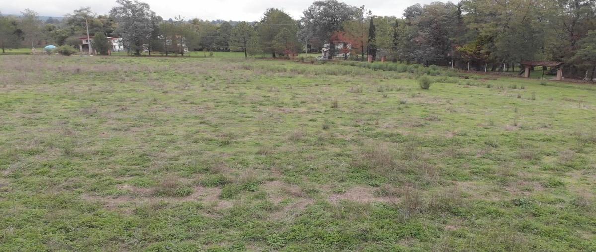 Foto de terreno habitacional en venta en  , tapalpa, tapalpa, jalisco, 0 No. 04