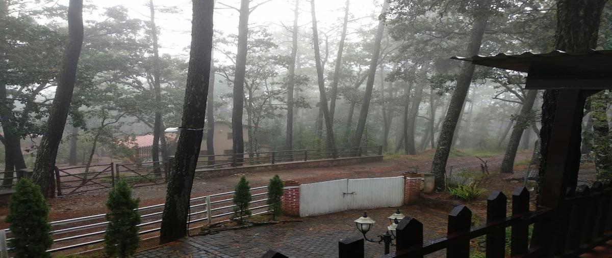 Foto de casa en venta en  , tapalpa, tapalpa, jalisco, 29804392 No. 04