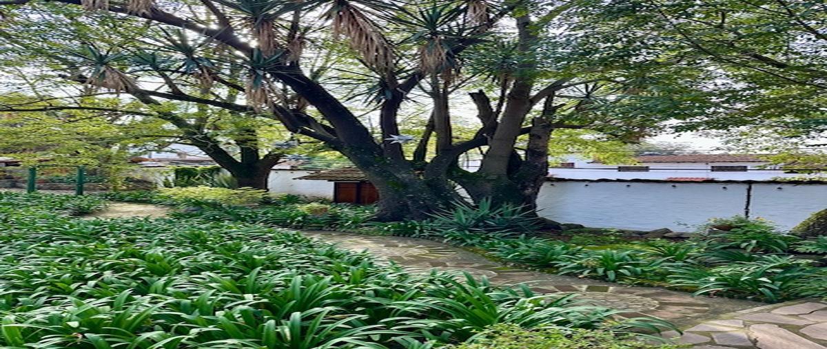 Foto de casa en renta en  , tapalpa, tapalpa, jalisco, 0 No. 05