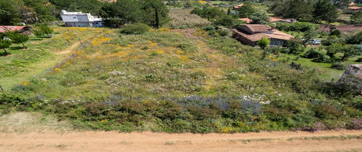 Foto de terreno habitacional en venta en  , tapalpa, tapalpa, jalisco, 30415464 No. 03
